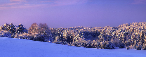 Krajobraz - Zima 