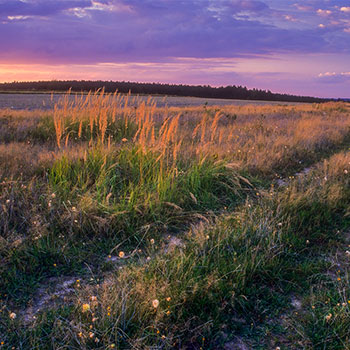  Krasnobrodzki Park Krajobrazowy 